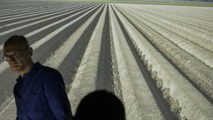 La nature des équilibres | Sylvain Gouraud