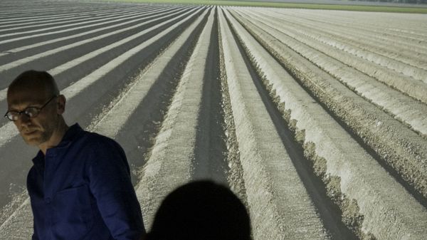 La nature des équilibres | Sylvain Gouraud